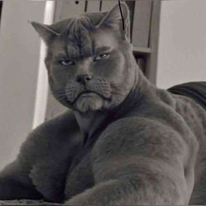 ba-avatar